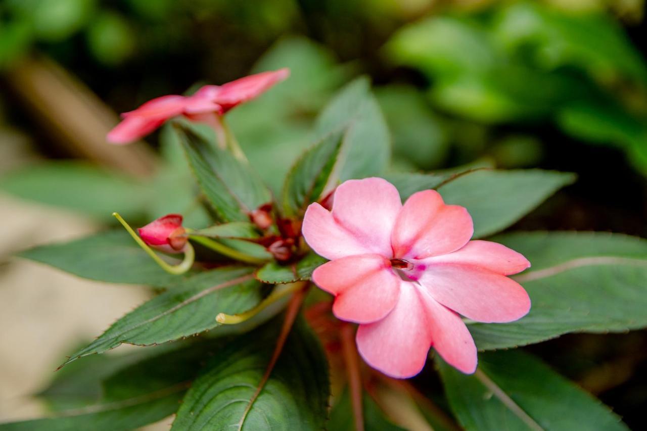 Hotel Cantinho Das Flores Guaramiranga Zewnętrze zdjęcie